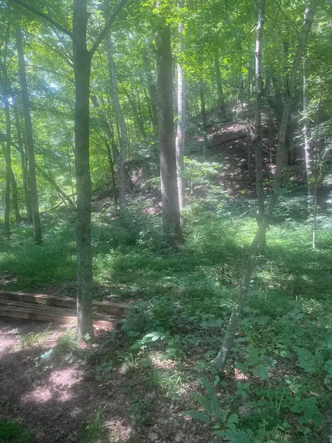 604 Woodruff Rd, Ray, OH 45672 photo 5