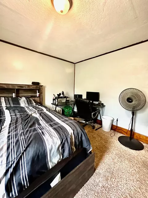 368 Windsor St, Marion, OH 43302 photo 52