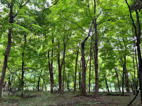 0 Royalton Rd SW #LOT 4, Lancaster, OH 43130
