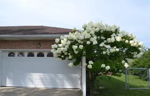 4335 Helena Ct, Springfield, OH 45503 photo 2