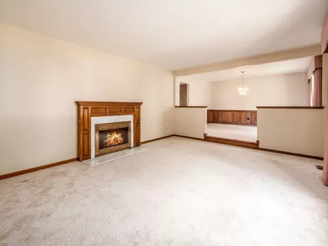 5309 Killdeer Ct, Orient, OH 43146 photo 10
