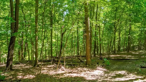 0 Canyon Rd, Granville, OH 43023