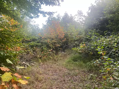 29361 Locust Grove Rd, Mcarthur, OH 45651