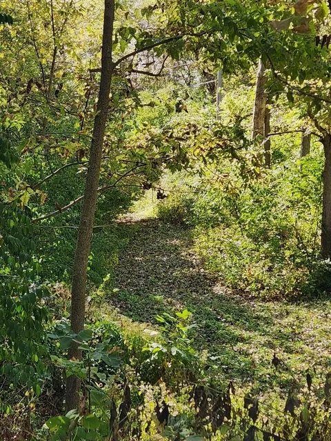 123 Old Mill Rd, Springfield, OH 45506 photo 75