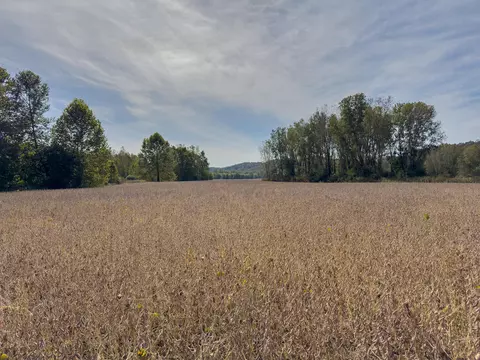 0 S River Rd, Philo, OH 43771 photo 9