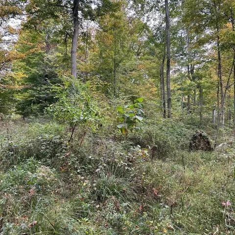 0 Ewart Rd, Utica, OH 43080