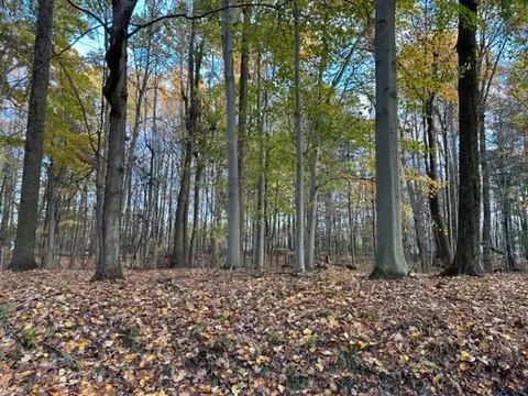 7326 State Route 19 #7  208, Mount Gilead, OH 43338