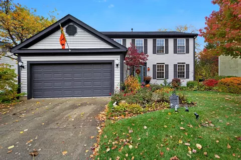 6989 Fallen Timbers Dr, Dublin, OH 43017