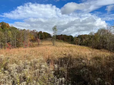 50143 S Bigley Ridge Rd, Long Bottom, OH 45743