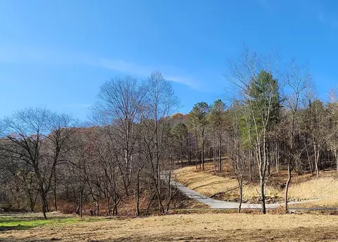 0 Blue Creek Rd #SOUTH, Bloomingville, OH 43152
