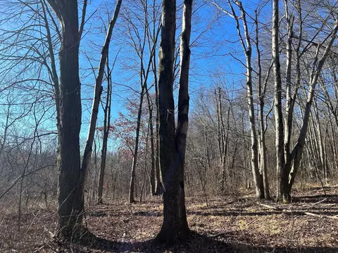 0 Buck Hill Rd, Frazeysburg, OH 43822