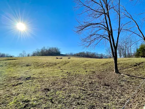 1368 Allen Rd, Beaver, OH 45613 photo 64