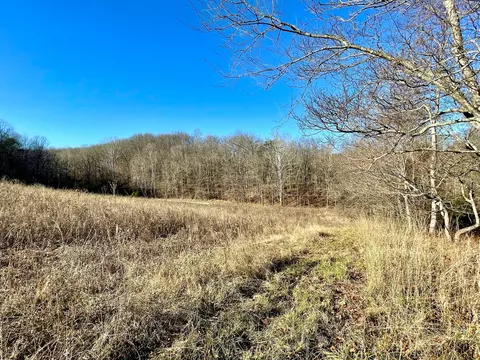 1368 Allen Rd, Beaver, OH 45613 photo 69
