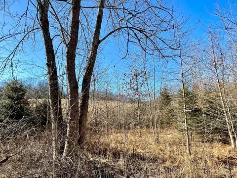 1368 Allen Rd, Beaver, OH 45613 photo 63