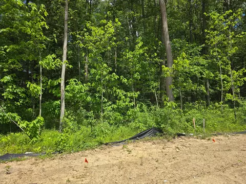 355 Haystack Ct, Pataskala, OH 43062 photo 47