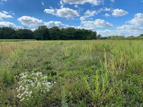 1700 N State Rt 559, Woodstock, OH 43084