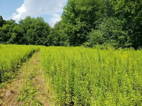 0 Township Road 213, Marengo, OH 43334