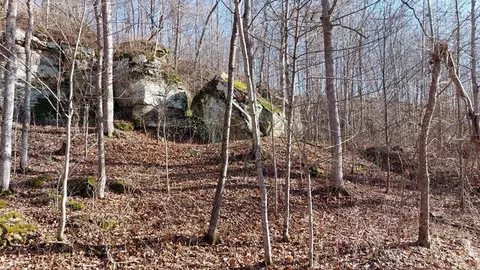 0 E Side Dexter Rd County Rd 10 Rd, Rutland, OH 45775