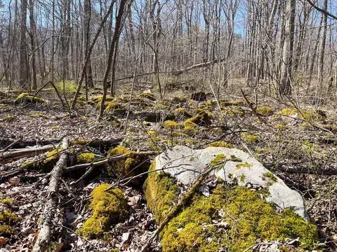 0 Griffith Rd, Logan, OH 43138 photo 27