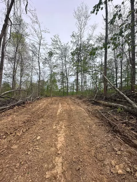 0 Union Hill Road Apt 12- Acres Rd #12+- ACRES, Blue Rock, OH 43720