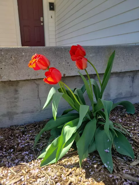 Other - 658 E Chestnut St, Lancaster, OH 43130 photo 4 of 4