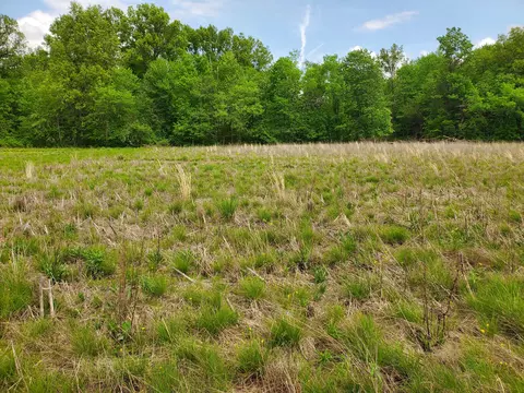 0 Summer Crest Dr #LOT 6, Galena, OH 43021