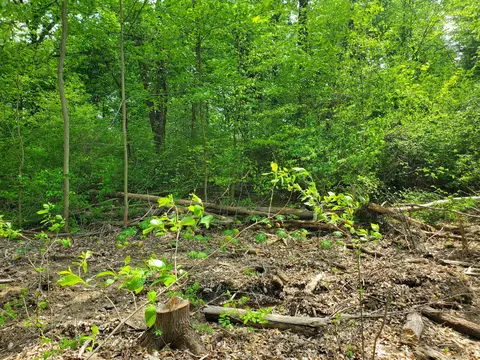 0 Summer Crest Dr #LOT 7, Galena, OH 43021