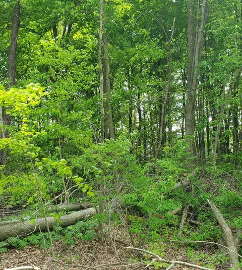 0 Summer Crest Dr #LOT 8, Galena, OH 43021