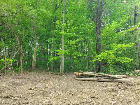 0 Summer Crest Dr #LOT 9, Galena, OH 43021