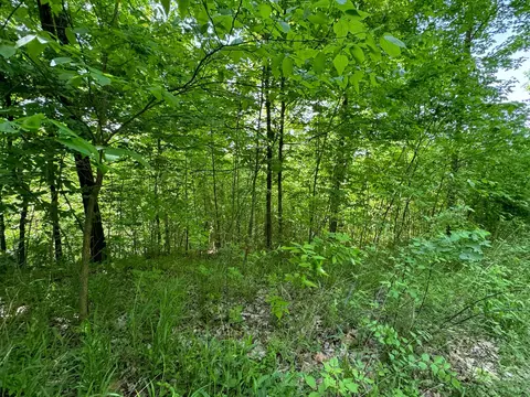 0 Virginia Ridge Rd, Philo, OH 43771 photo 7
