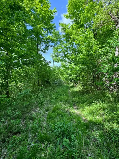 0 Virginia Ridge Rd, Philo, OH 43771 photo 8