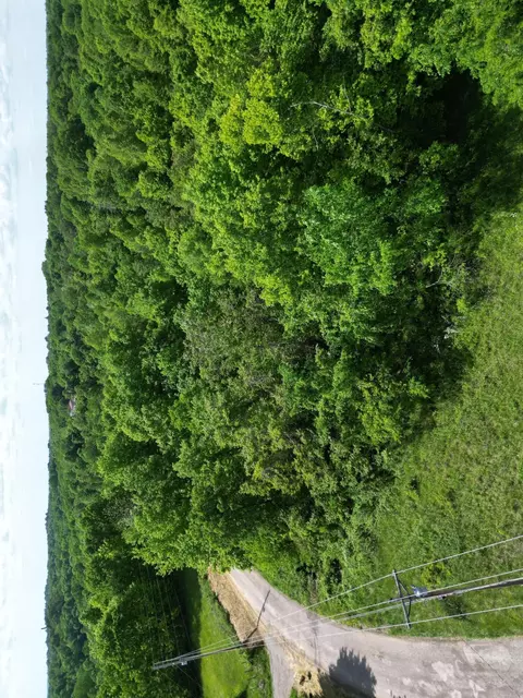 0 Virginia Ridge Rd, Philo, OH 43771 photo 4