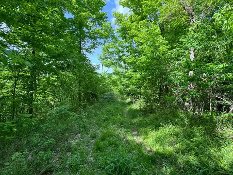 0 Virginia Ridge Rd, Philo, OH 43771 photo 6