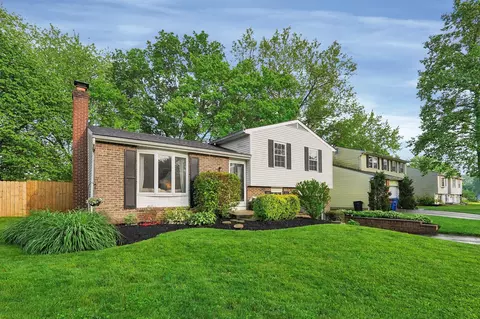 4239 Bitterroot Dr, Westerville, OH 43081