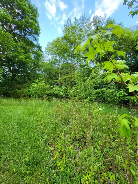 0 Boner Lot 2 St, Newark, OH 43055