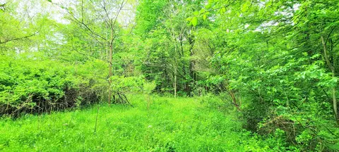 4009 County Road 25, Cardington, OH 43315