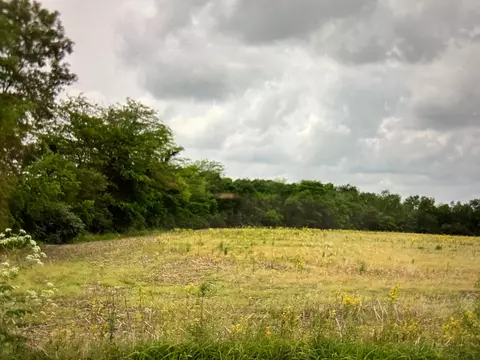 0 Shoemaker Rd #LOT 5, Circleville, OH 43113