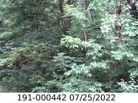 0 E Minnesota Ave, Columbus, OH 43219