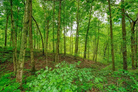 29539 Old State Route 75, Mcarthur, OH 45651 photo 8