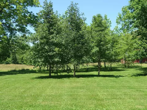 0 E High St, Ostrander, OH 43061 photo 2