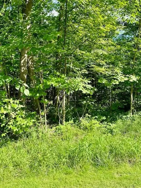 0 Sunset Dr, Powell, OH 43065 photo 4