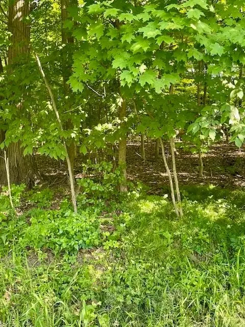0 Sunset Dr, Powell, OH 43065 photo 3