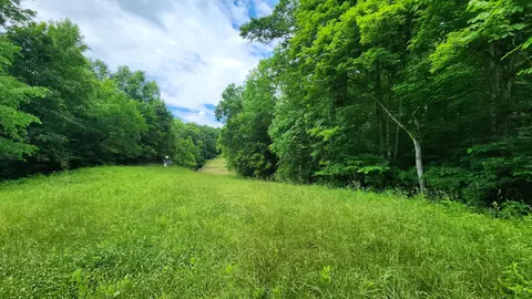 0 Pounds Road Apt Rd #(TRACT 2 POUNDS ROAD), Glouster, OH 45732