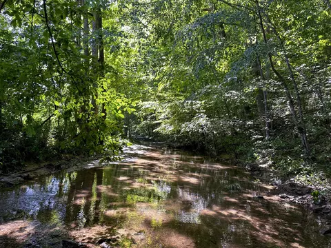 1725 Hull Road Apt Rd #(TRACT 4 WOODS WAYNE FOREST), Patriot, OH 45658