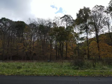 0 Five Points Rd, Jackson, OH 45640 photo 5