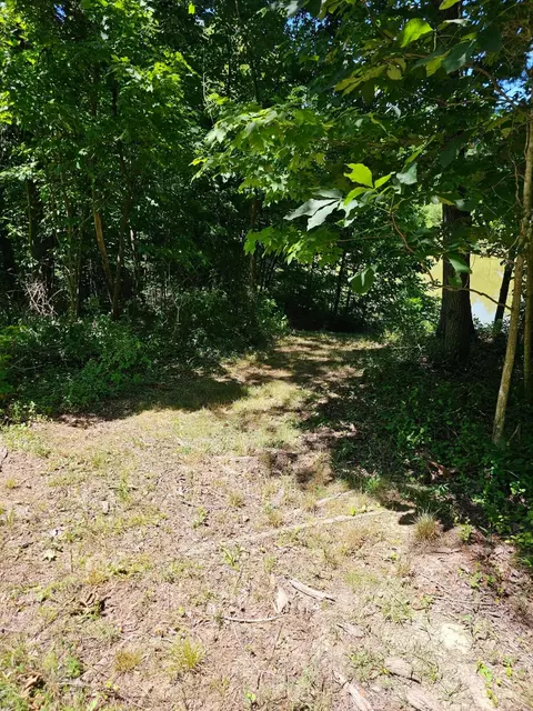 Other - 31660 Molehan Rd, Vinton, OH 45686 photo 7 of 28