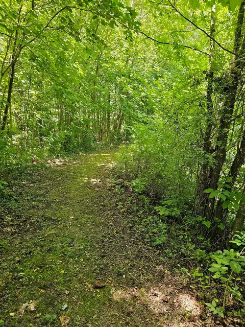Other - 31660 Molehan Rd, Vinton, OH 45686 photo 6 of 28