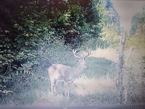 Other - 31660 Molehan Rd, Vinton, OH 45686 photo 24 of 28