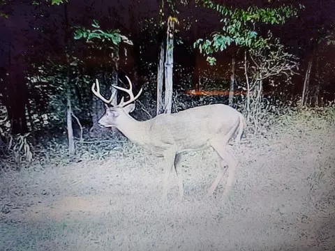 Other - 31660 Molehan Rd, Vinton, OH 45686 photo 23 of 28