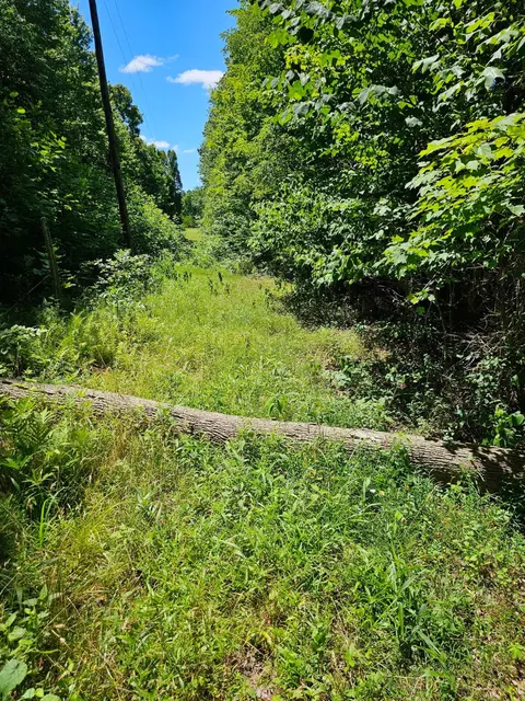 Other - 31660 Molehan Rd, Vinton, OH 45686 photo 8 of 28
